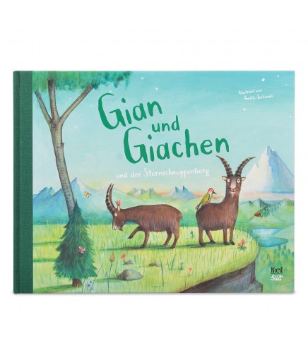 Kinderbuch «Gian und Giachen und der Sternschnuppenberg»