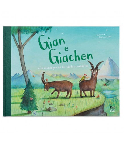 Kinderbuch «Gian e Giachen e la muntogna da las stailas crudantas»