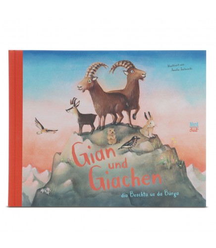 Kinderbuch Sammelband "Gian & Giachen dia Beschta us da Bärga"