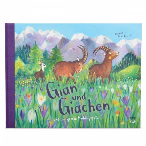 Kinderbuch «Gian und Giachen und der grosse Frühlingsputz»