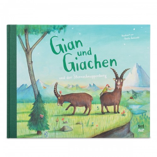Kinderbuch «Gian und Giachen und der Sternschnuppenberg»